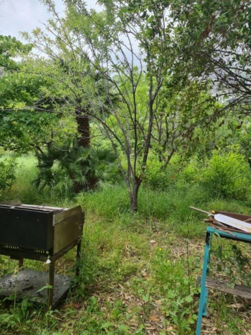 casa indipendente in vendita a Sanremo