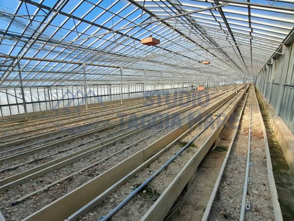 terreno agricolo in vendita a Sanremo in zona Bussana