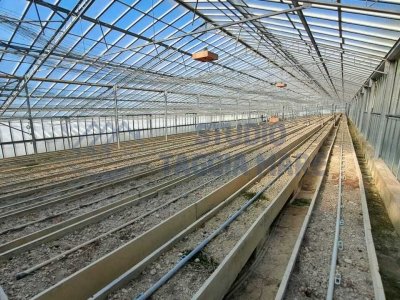 terreno agricolo in vendita a Sanremo in zona Bussana