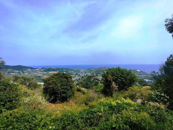 terreno agricolo in vendita a Sanremo in zona Poggio