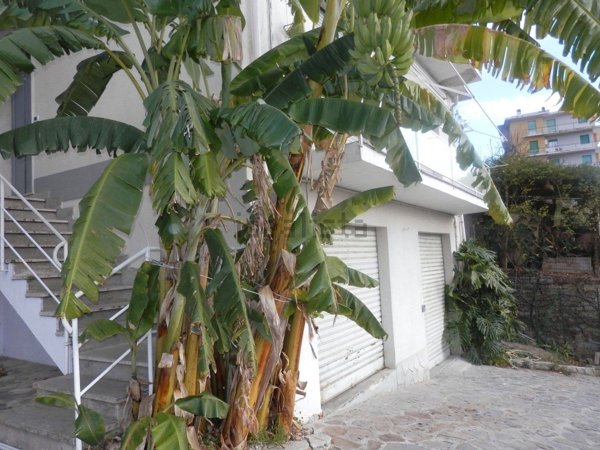 casa indipendente in vendita a Sanremo