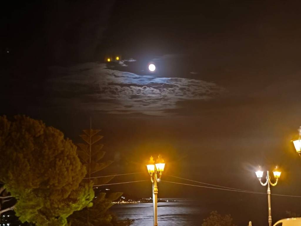 negozio in vendita a Sanremo in zona Bussana