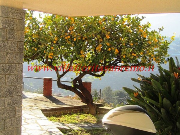 appartamento in vendita a Sanremo in zona San Romolo