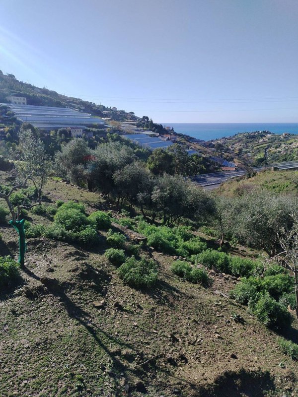 terreno agricolo in vendita a Sanremo