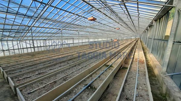 terreno agricolo in vendita a Sanremo in zona Bussana