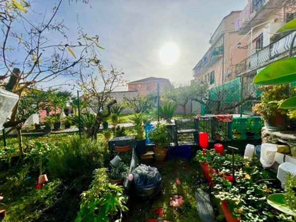 terreno agricolo in vendita a Sanremo in zona Coldirodi