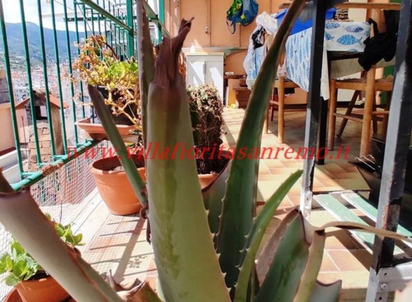 casa indipendente in vendita a Sanremo