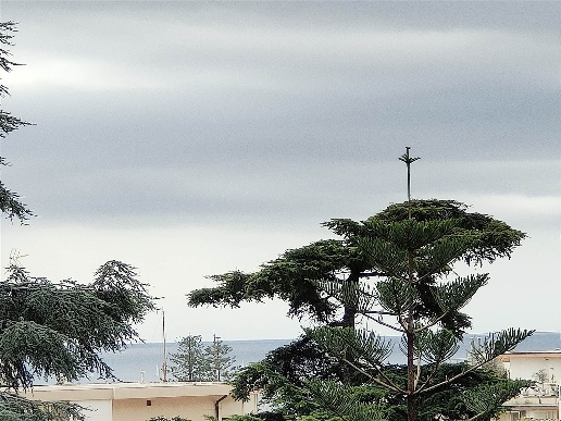 casa indipendente in vendita a Sanremo