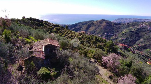 quadrivano in vendita a Sanremo