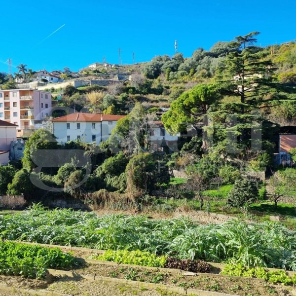 terreno agricolo in vendita a Sanremo