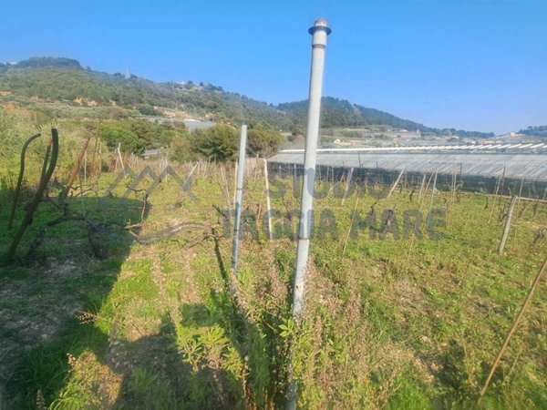 terreno agricolo in vendita a Sanremo in zona Bussana