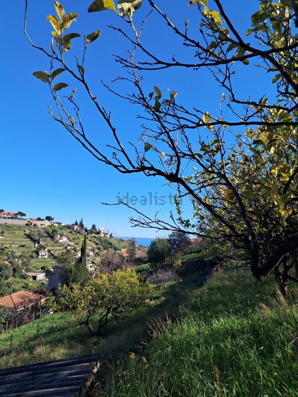 terreno edificabile in vendita a Sanremo