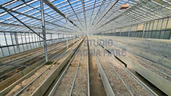 terreno agricolo in vendita a Sanremo in zona Bussana