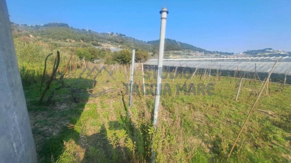 terreno agricolo in vendita a Sanremo in zona Bussana