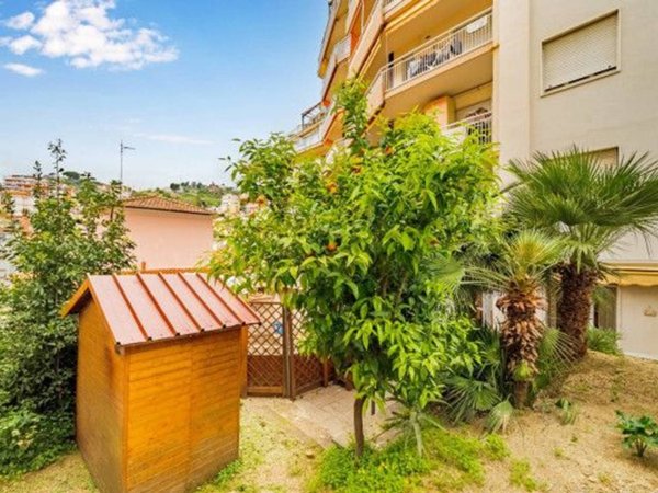 immagine annuncio 0 di 15