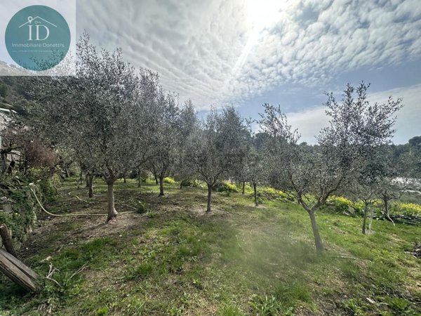 casa indipendente in vendita a Sanremo in zona Bussana