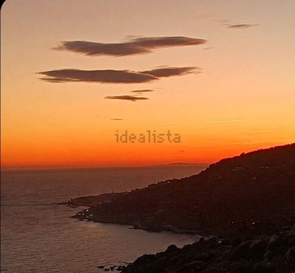 esavano in vendita a Sanremo in zona Coldirodi