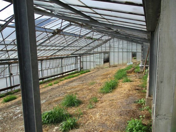 terreno agricolo in vendita a Sanremo