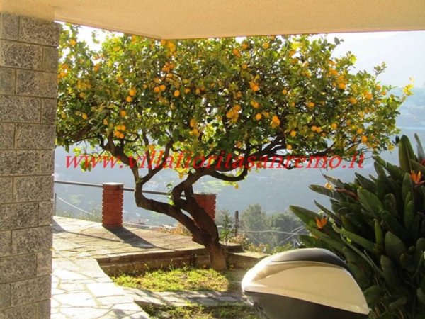 appartamento in vendita a Sanremo in zona San Romolo