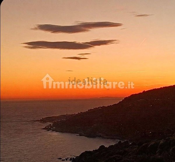 esavano in vendita a Sanremo in zona Coldirodi