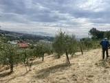 terreno agricolo in vendita a Sanremo in zona Coldirodi