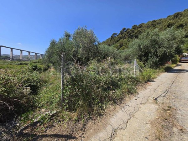 terreno agricolo in vendita a Sanremo in zona Coldirodi