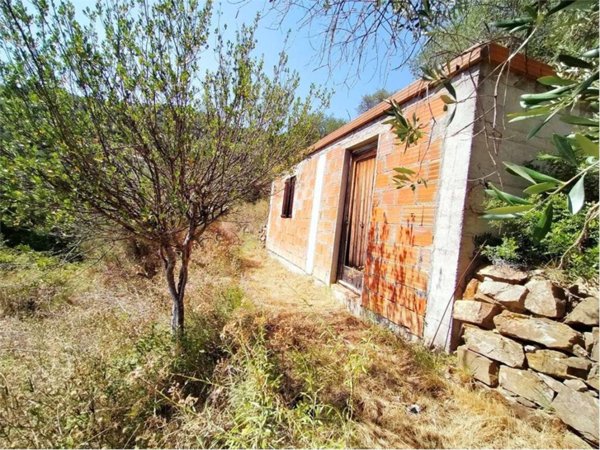 terreno agricolo in vendita a Sanremo
