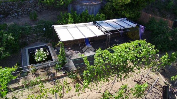 terreno agricolo in vendita a Sanremo