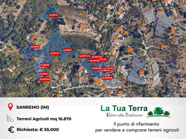 terreno agricolo in vendita a Sanremo