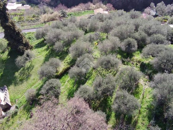 terreno in vendita a Sanremo