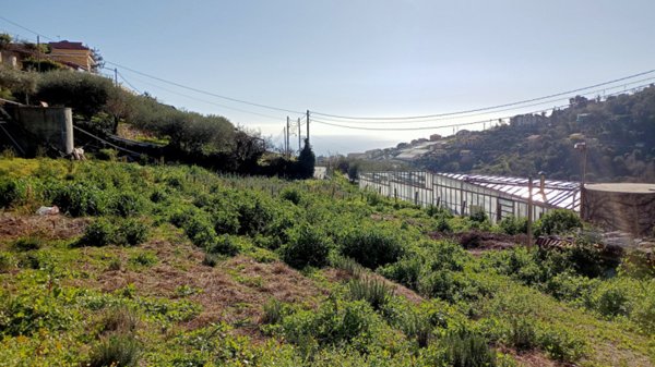 terreno in vendita a Sanremo