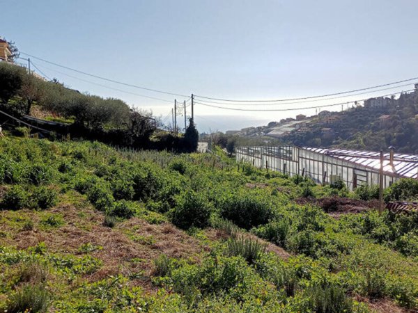 terreno in vendita a Sanremo