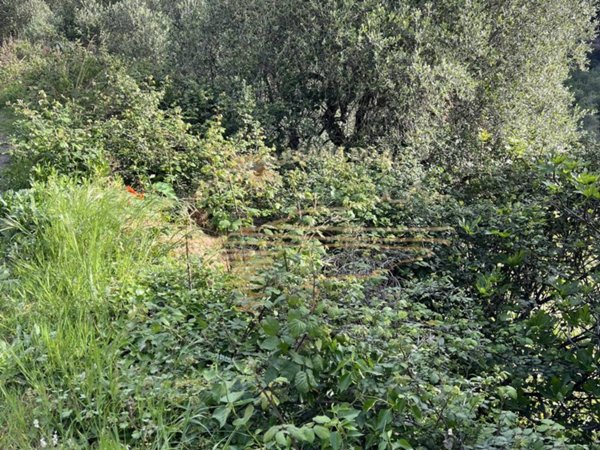 terreno in vendita a Sanremo in zona Bussana Vecchia