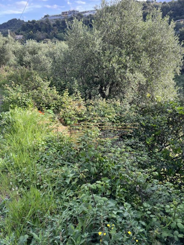 appartamento in vendita a Sanremo in zona Bussana Vecchia