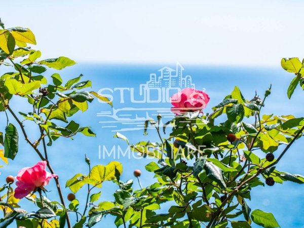 appartamento in vendita a Santo Stefano al Mare