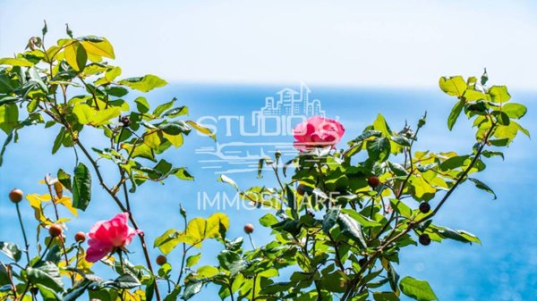 appartamento in vendita a Santo Stefano al Mare