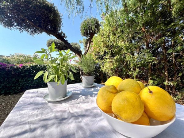 casa indipendente in vendita a Santo Stefano al Mare