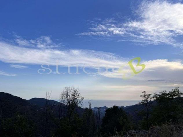 terreno agricolo in vendita a Seborga