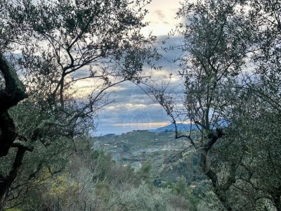 casa indipendente in vendita a Seborga