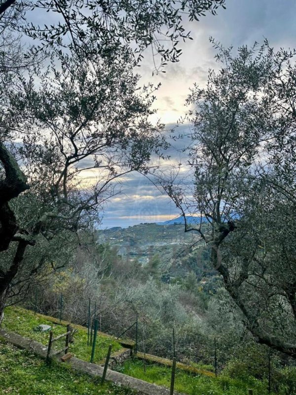 casa indipendente in vendita a Seborga