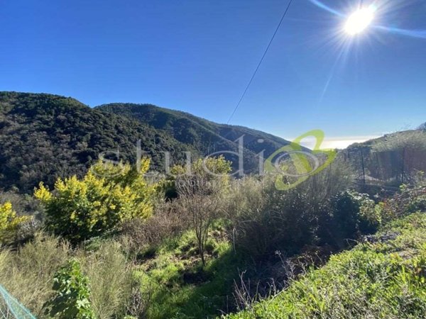 casa indipendente in vendita a Seborga