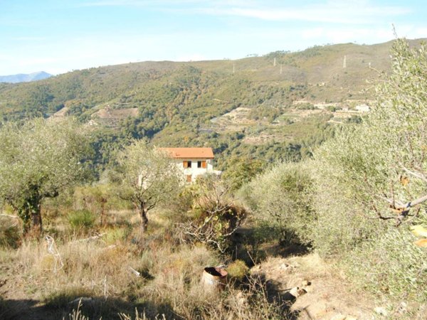 terreno agricolo in vendita a Seborga