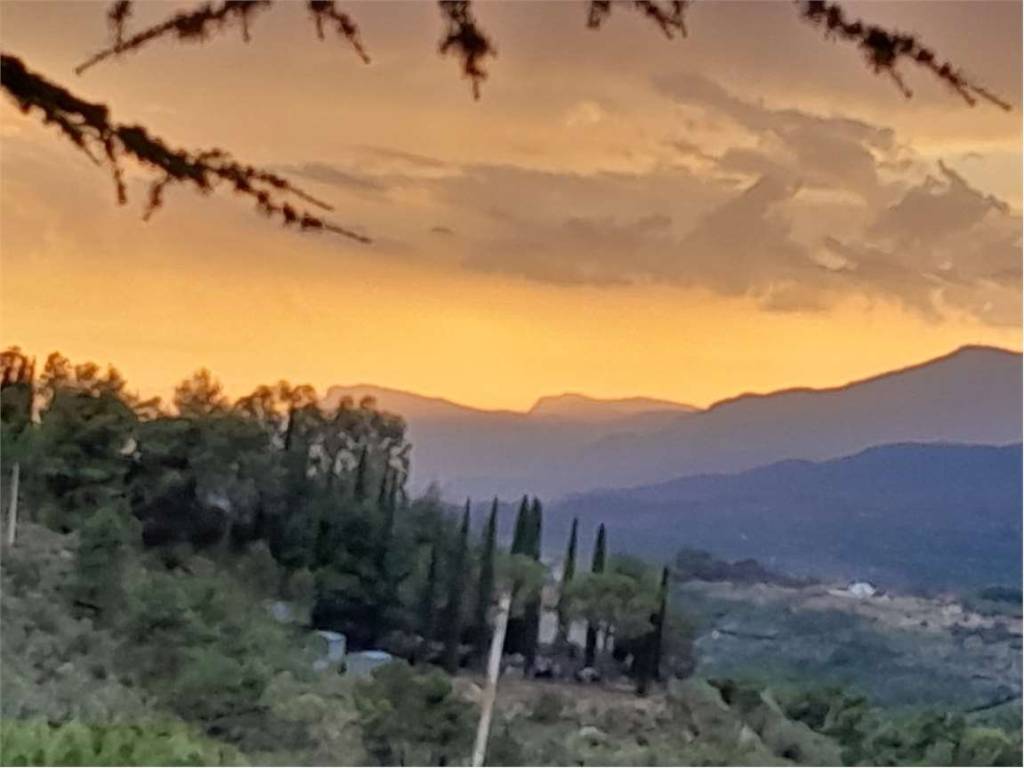 appartamento in vendita a Seborga