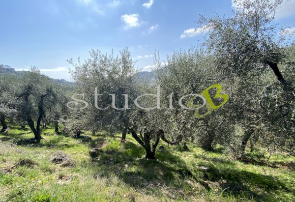 terreno agricolo in vendita a Seborga