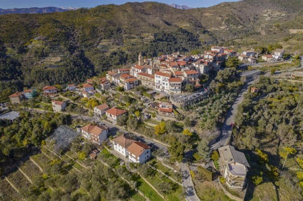 terreno agricolo in vendita a Seborga