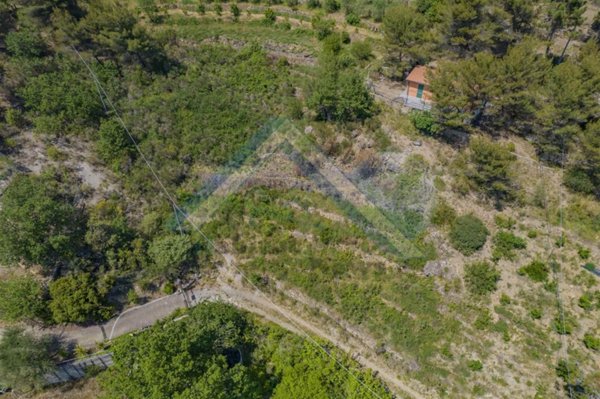 appartamento in vendita a Seborga