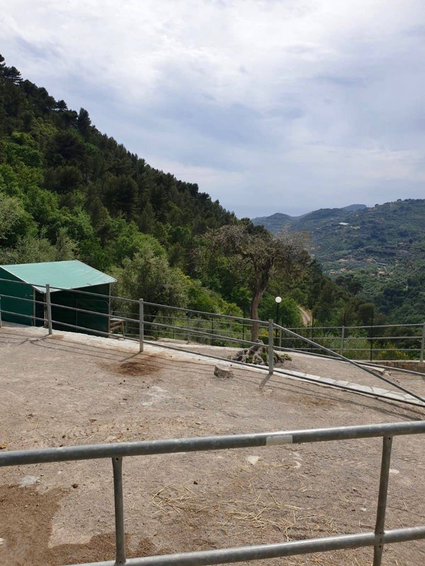 casa indipendente in vendita a Seborga