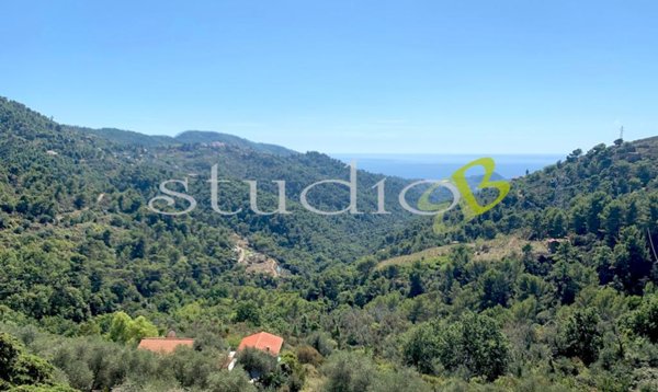 esavano in vendita a Seborga