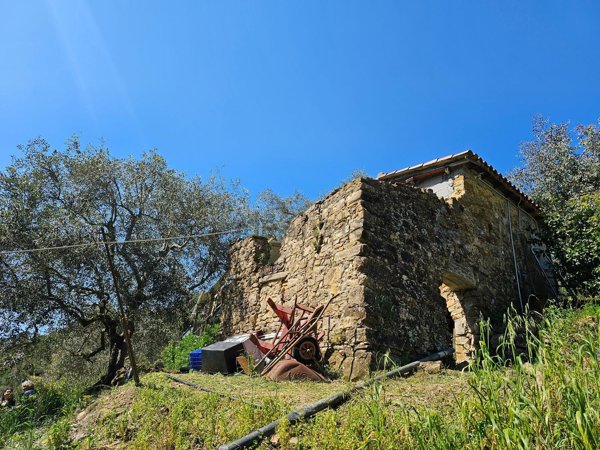 appartamento in vendita a Seborga