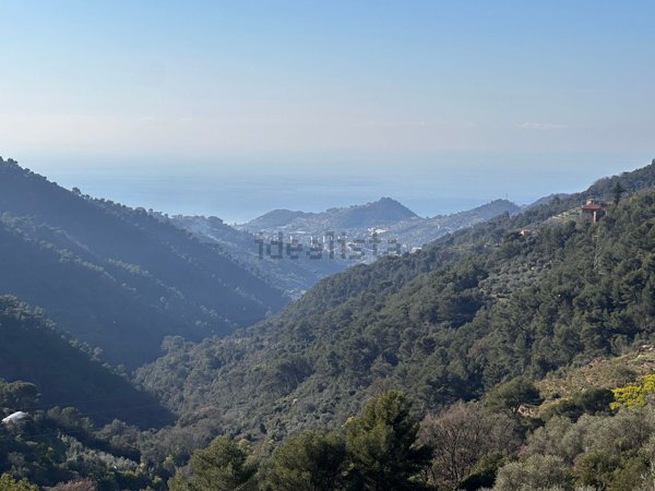 casa indipendente in vendita a Seborga